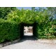 Properties for Sale_EXCLUSIVE COUNTRY HOUSE FOR SALE IN LE MARCHE Property with tourist activity, guest houses, for sale in Italy in Le Marche_28